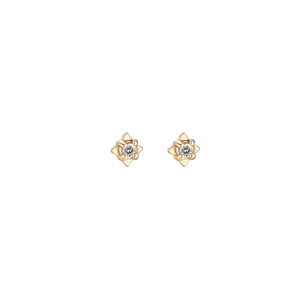 Welda Stainless Steel Earrings Gold White Zirconia