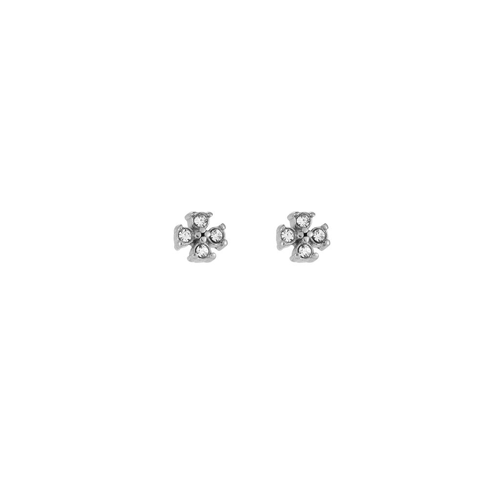 Tina Stainless Steel Earrings Silver Zirconia