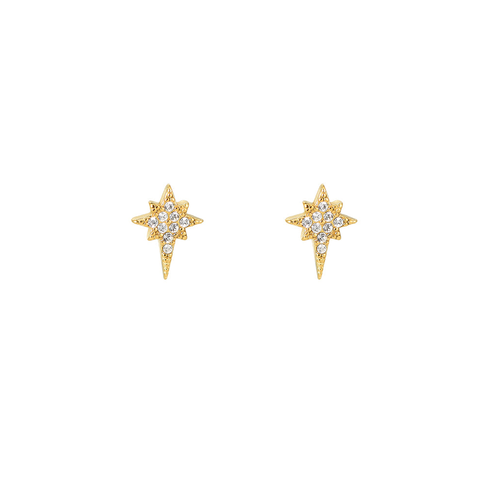 Rising Flare Diamond Stainless Steel Ear Studss Gold