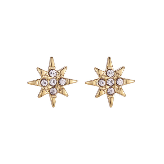 Cross Star Diamonds Ear Studs Örhängen i rostfritt stål Guld zirconia